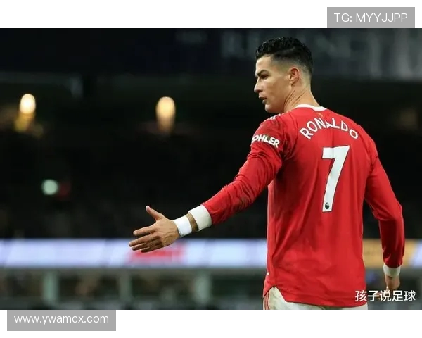 走近绿茵传奇全面解析足球明星背后的精彩奋斗与荣耀人生旅程故事