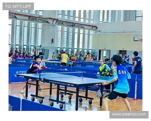 乒乓球运动的历史演变与技术创新探究：从传统到现代的跨越与发展