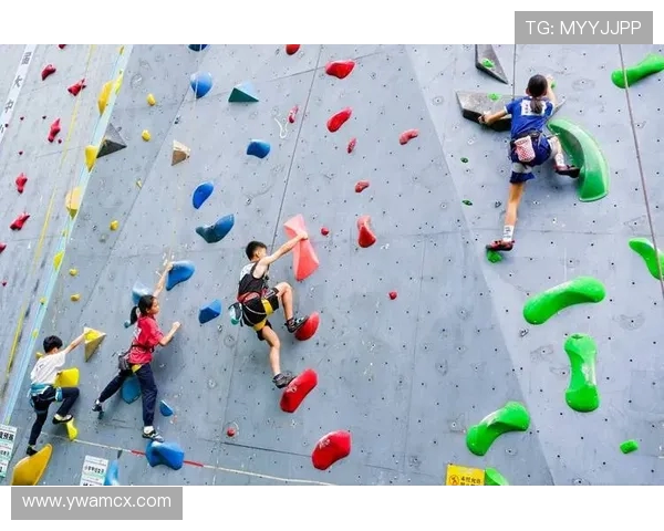 广州攀岩队心理素质分析及其对竞技表现的影响研究 广州攀岩队心理素质分析及其对竞技表现的影响研究