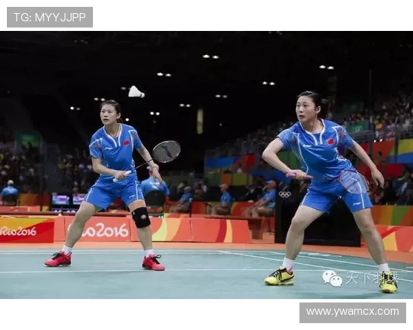 成都羽毛球队区域防守分析与战术得失探讨