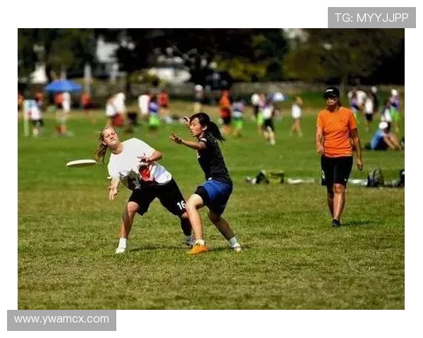 成都飞盘队耐力训练的挑战与突破探索之旅 成都飞盘队耐力训练的挑战与突破探索之旅