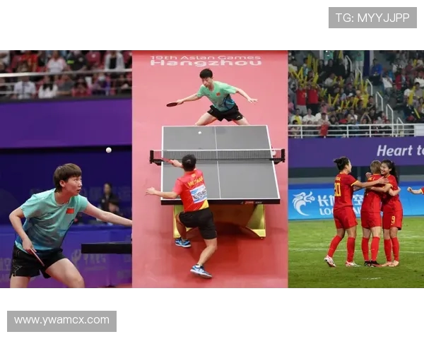 乒乓球运动的魅力与发展历程探析：从传统竞技到全球化潮流的崛起