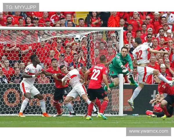 围绕体育赛事的激情对决讲述团队合作与拼搏精神展现运动魅力无限 围绕体育赛事的激情对决讲述团队合作与拼搏精神展现运动魅力无限