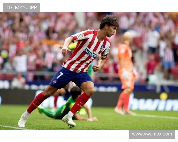 加克波的崛起之路:从青涩小将到足坛新星的奋斗历程