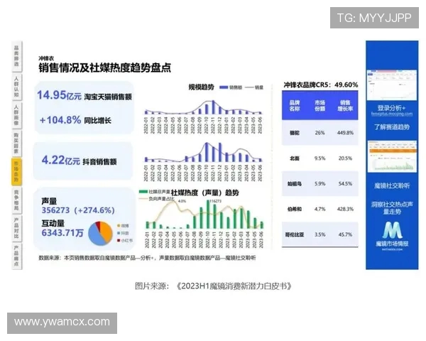 天猫与水星胜负差分析揭示电商竞争新格局与未来发展趋势