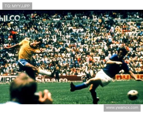 巴西与法国历史交锋记录分析及比赛精彩瞬间回顾